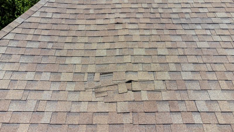 Asphalt Roof Inspection in Newburg, MD