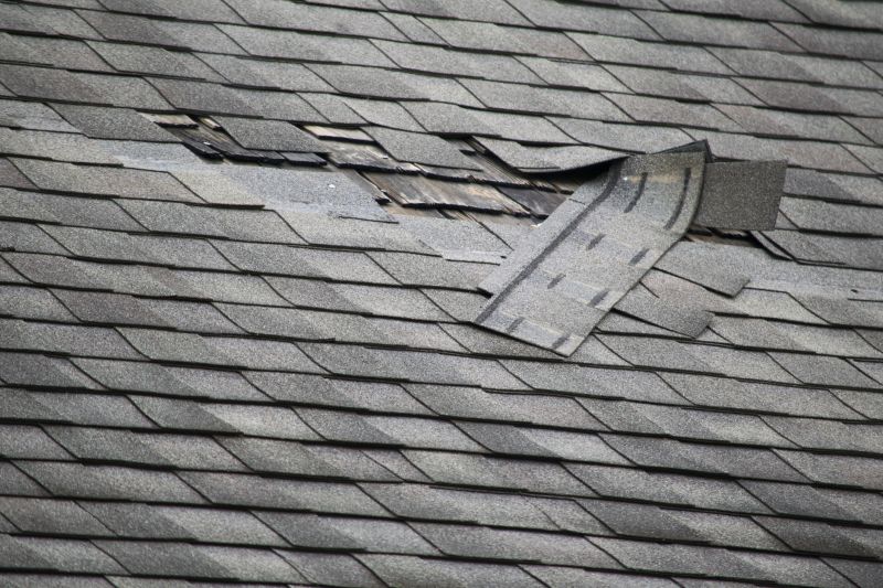 Asphalt Roof Leak Repair in Great Mills, MD