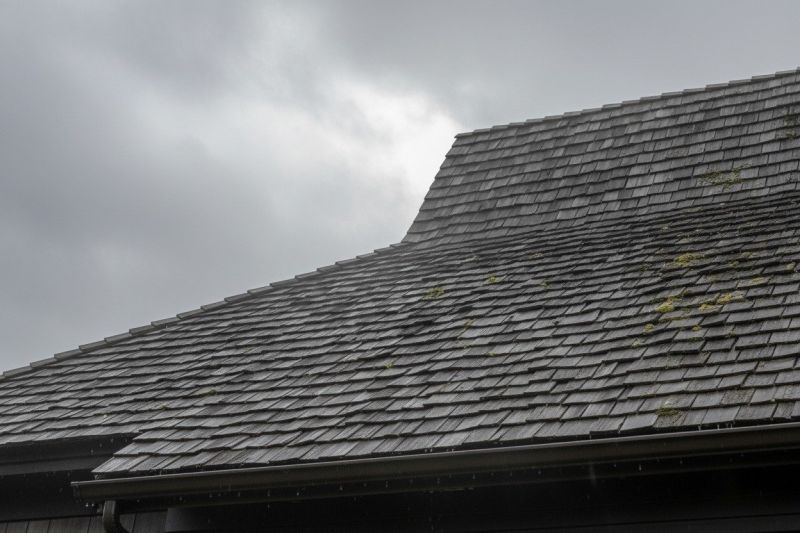 Cedar Roof Replacement in Warsaw, VA