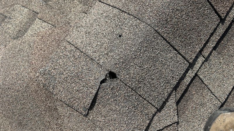 Damaged Roof Repair in California, MD