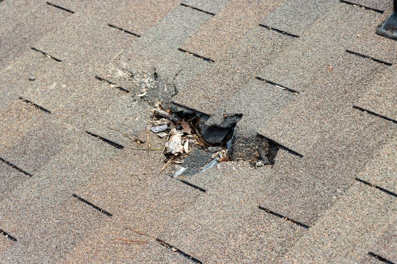 Damaged Roof Replacement in Hollywood, MD