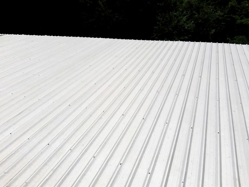 Galvanized Roof Repair in Leonardtown, MD