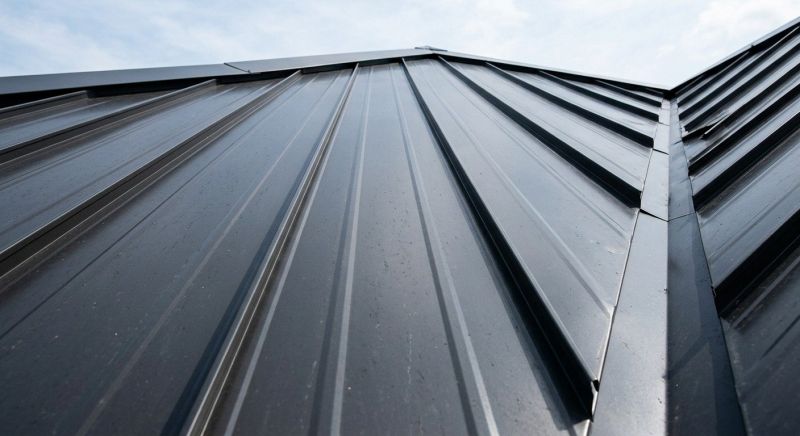 Standing Seam Roof Repair in Leonardtown, MD